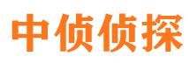 临泉市侦探